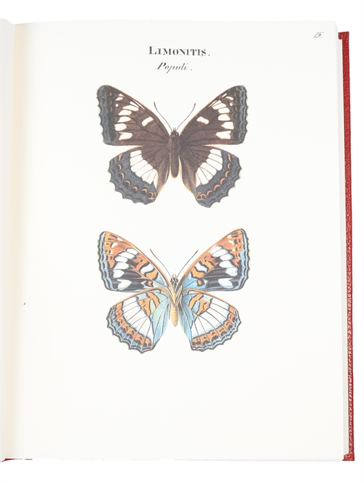 Swenska Fjärilar. Ordo Lepidoptera. (1. Diurni. 2. Nocturni). Efter Naturen Målade. 2 Bd. + Swenska Fjärilar målade för greve Nils Bonde 1828-1835. Kommentar av Björn Dal. (ialt 3 Bd.)