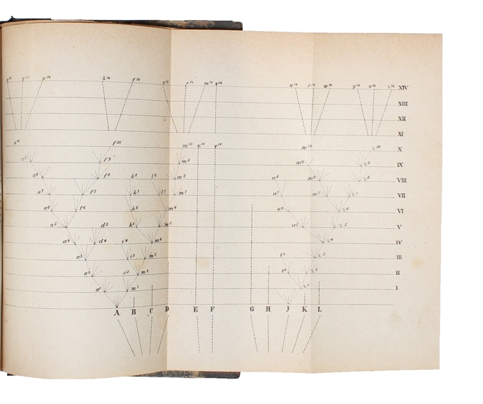 Kinetische Theorie des Wärmegleichgewichtes und den zweiten Hauptsatzes der Thermodynamik.