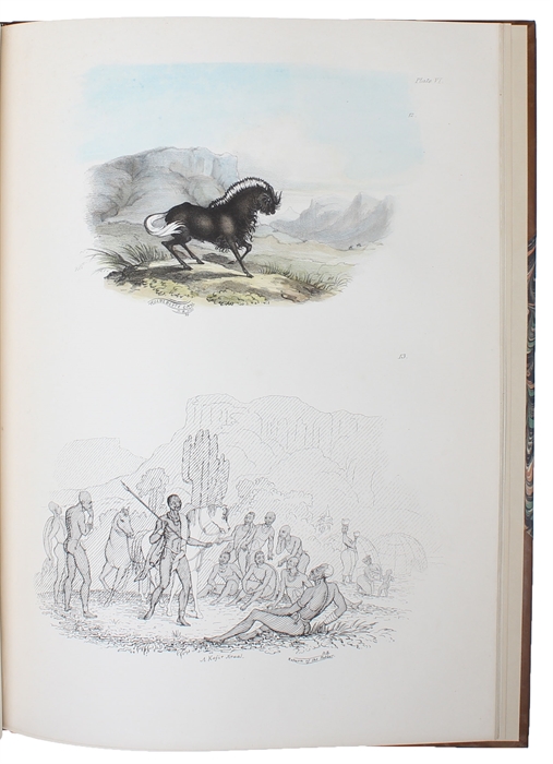 South African Sketches: Illustrative of the Wild Life of a Hunter on the Frontier of the Cape Colony.