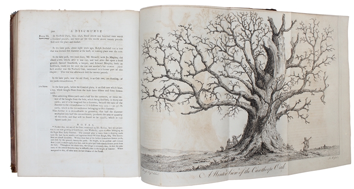 Silva or, a discourse of forest-trees, and the propagation of timber in his Majesty's dominions: As It Was Delivered in the Royal Society on the 15th Day of October, 1662. Upon Occasion of certain queries propounded to that Illustrious Assembly, by th...