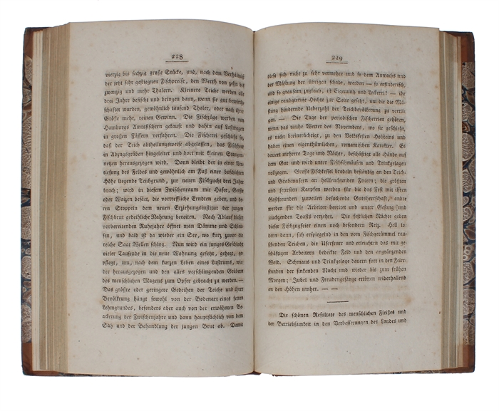 Darstellungen aus Nord=Deutschland. I. Ausflug aus Hamburgs Trümmern im Herbst 1814. II. Sommereise in Holstein 1815.