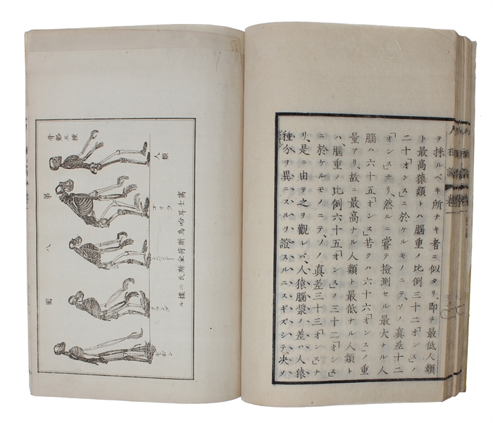 Jinsoron (i.e. Japanese "On the Ancestor(s) of Man", Translated by Kozu Senzaburo, original title: "Descent of Man"). 3 vols.