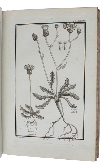 Histoire des plantes de Dauphine. 4 vols.