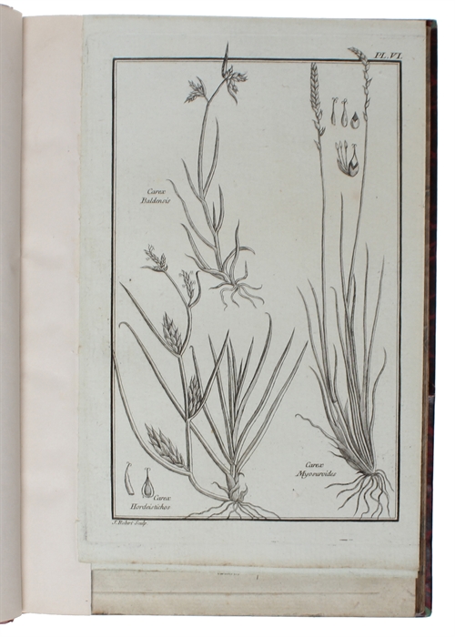 Histoire des plantes de Dauphine. 4 vols.