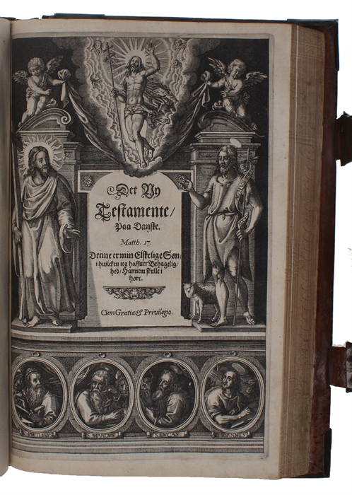 Biblia Det er Den gantske Hellige Scrifft paa Danske igien offuerseet oc Prentet effter vor allernaadigste Herris oc Kongis K. Christian den IV. Befaling. Mett Register/ alle D. Lutheri Fortaler ghans Udledning i Brædden oc Viti Theodori Summarier. Cu...