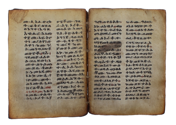 Ethiopic bible-manuscript in ge'ez on vellum. 
