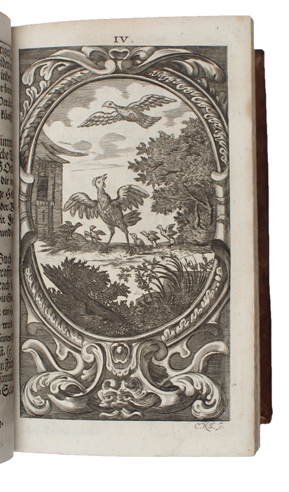 Das unfehlbare Weh der Ewigkeit für die Verächter der Gnaden-Zeit. Mit grund-erwiesenem Bericht von der Hellen und ihrer Gewissheit, von der verzweifelten Hinfshrt verfluchter Seelen an den Ort der Quaal (...).