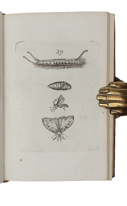 Metamorphoses naturelles ou Histoire des insectes observée très-exactement suivant leur nature & leurs proprietez. 3 vols. 