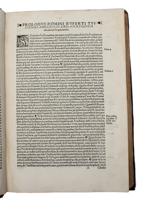 Summi disertissimi theologi, sacris dutaxat literis omnia probantis, in XII. prophetas minores, commentariorum libri XXXII. (...).