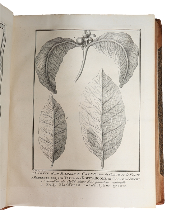 Histoire générale des Voyages, ou nouvelle collection de toutes les relations de voyages par mer et par terre, (...) Nouvelle edition. Tome Quatorzieme (XIV).