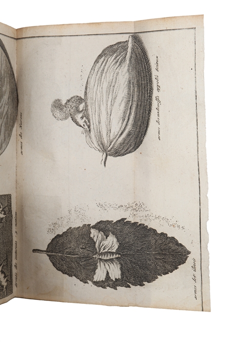 Voyages Du Baron Lahontan Dans L'Amérique Septentrionale. Seconde édition, revuë, corrigée & augmentée. 2 vols (+) Suite du voyage, de l'Amérique ou Dialogues de Monsieur le baron de Lahontan et d'un sauvage dans l'Amérique.