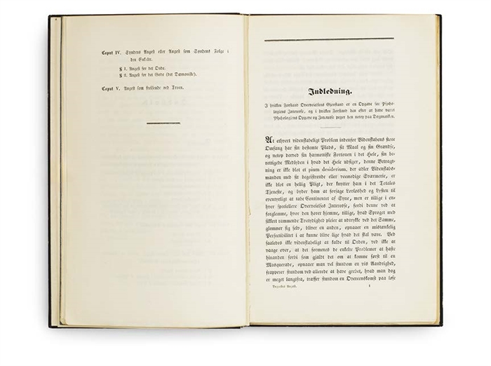 Begrebet Angest. En simpel psychologisk=paapegende Overveielse i Retning af det dogmatiske Problem om Arvesynden. Af Vigilius Hafniensis.