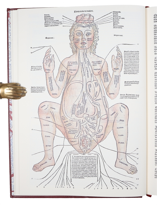 The Fasciculus Medicinae. Facsimile of the First (Venetian) Edition of 1491. With English Translation by Luke Demaitre. Commentary by Karl Sudhoff. Translated and Adapted by Charles Singer.  