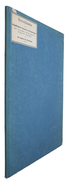 Hectocotyldannelsen hos Octopodslægterne Argonauta og Tremoctopus, oplyst ved Iagttagelse af lignende annelser hos Blæksprutterne i Almindelighed. (Offprint from "Videnskabernes Selskabs Skrifter").