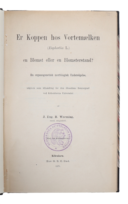 Er koppen hos vortemælken (Euphorbia L.) en Blomst eller en Blomsterstand? En organogenetisk morfologisk Undersögelse, udgiven som Afhandling for den filosofiske Doktorgrad ved Köbenhavns Universitet. 