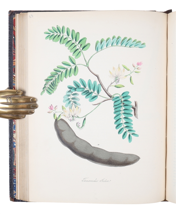 Plantæ Utiliores; or Illustration of Useful Plants, Employed in the Arts and Medicine. 4 vols.