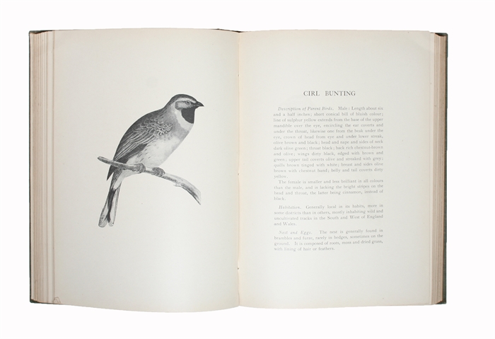 British Birds for Cages, Aviaries, and Exhibition. 2 vols.